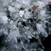 Day 128:  Macro of Snow by sheilalorson