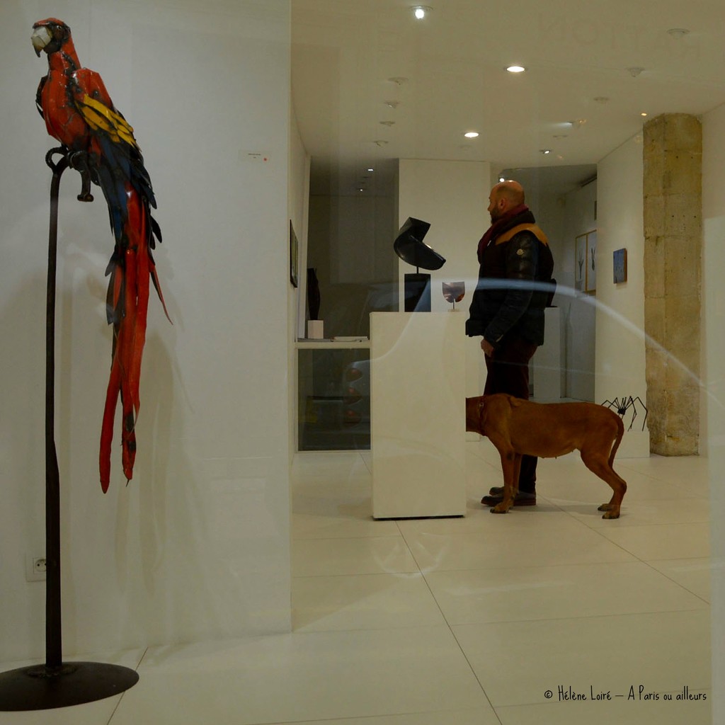 dog visiting an animals exhibitions by parisouailleurs