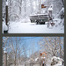 Just a few hours difference_365 by randystreat