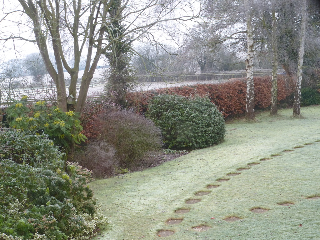A very frosty morning.... by snowy