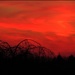 Kentucky Sunset by olivetreeann