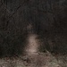 Trail To Where by digitalrn