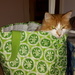Cat in a bag by katriak