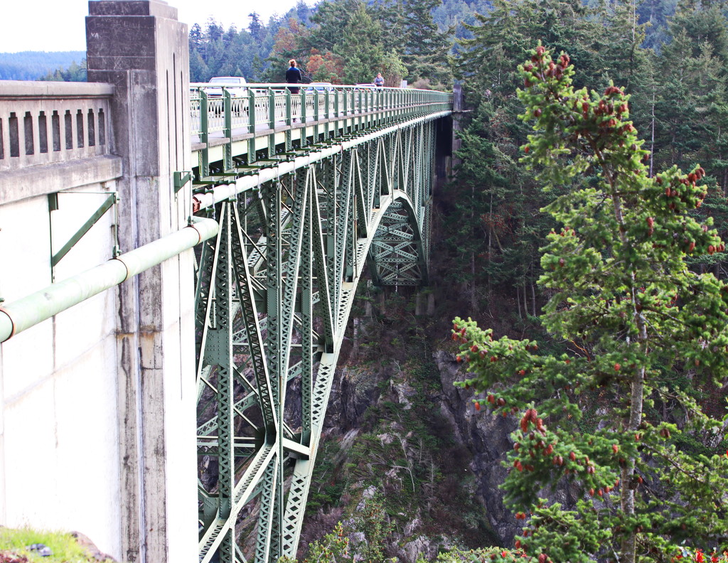 Deception Pass Bridge - 1st Span by terryliv