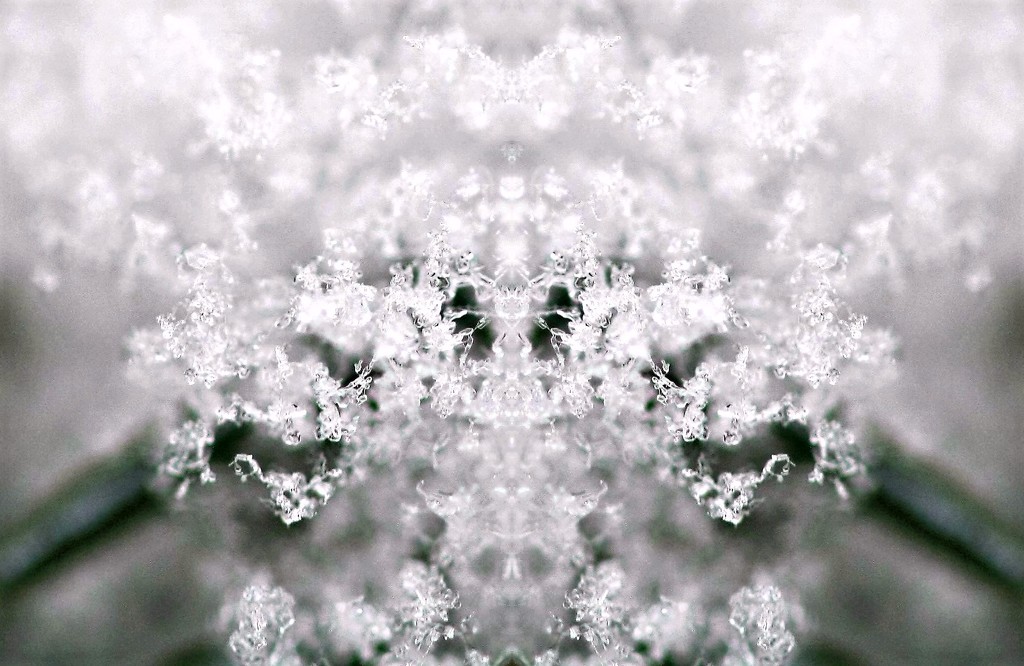 Snow by susanharvey
