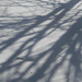 Tree Shadow Closeup by sfeldphotos