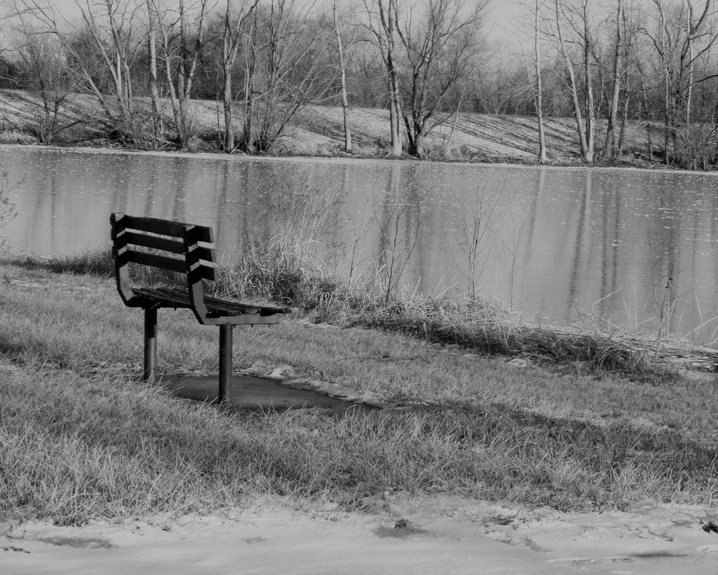 BW: Waiting and waiting for spring by daisymiller