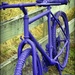 Cycle Challenge by yorkshirekiwi