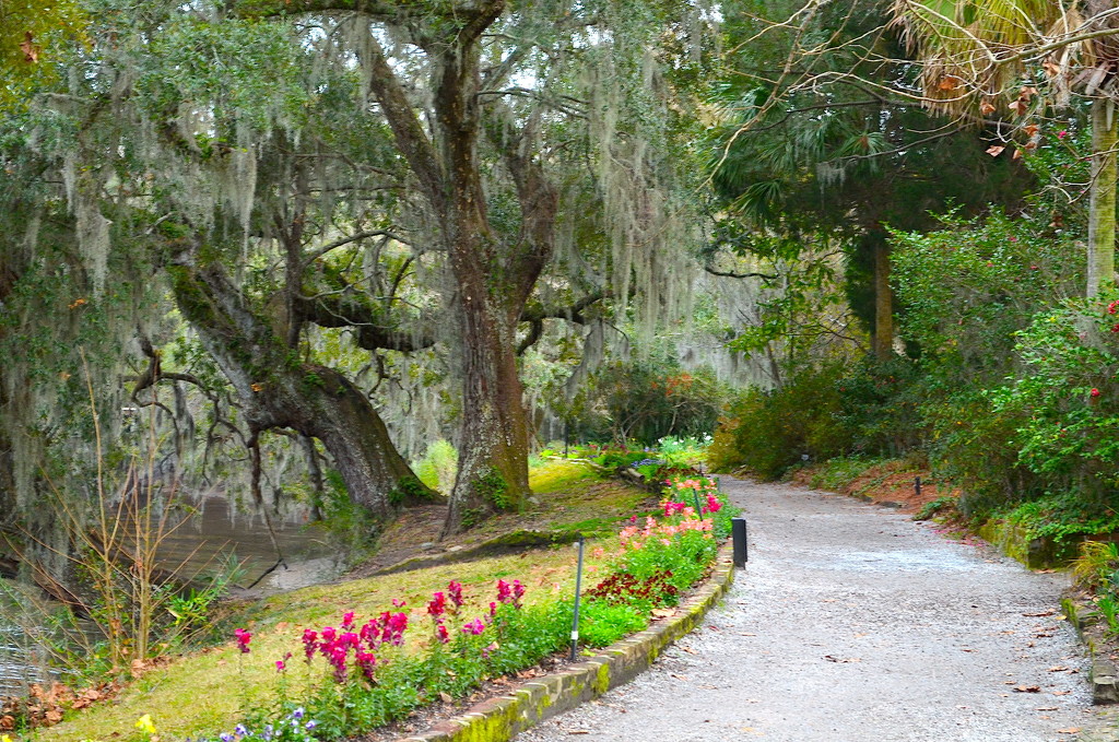 Path along the Ashley River, Magnolia Gardens, Charleston, SC by congaree