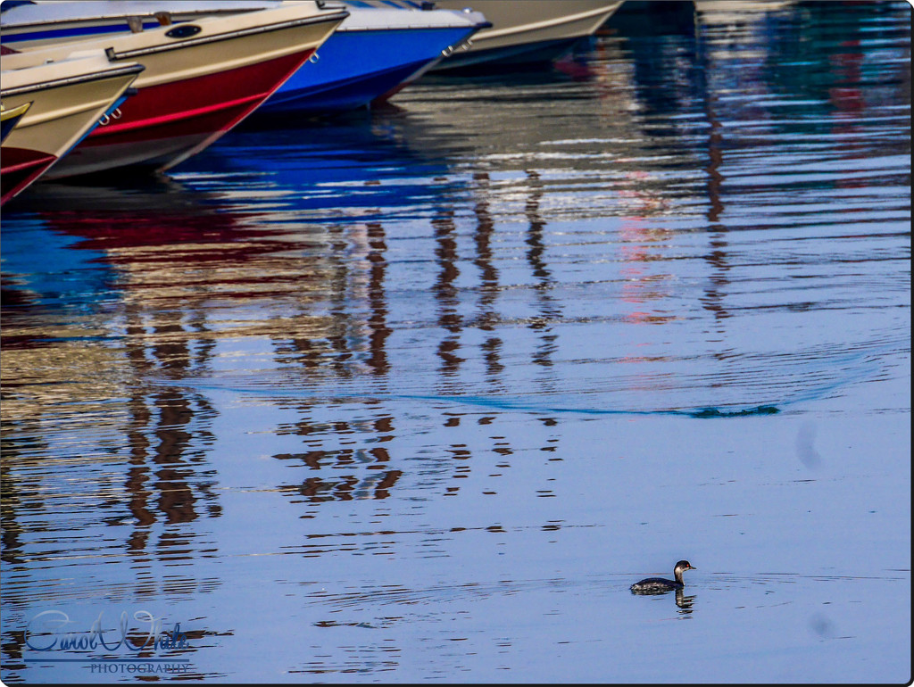 Boat Reflections,Burano,Venice by carolmw