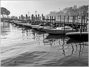 9th Jan 2017 - Boats At Moorings,Burano,Venice
