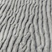 sand texture by scottmurr
