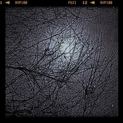 9th Jan 2017 - A Cold Moon