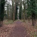 Thetford Forest by gillian1912