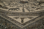 29th Dec 2016 - 370 - Roman Mosaic at Volubilis