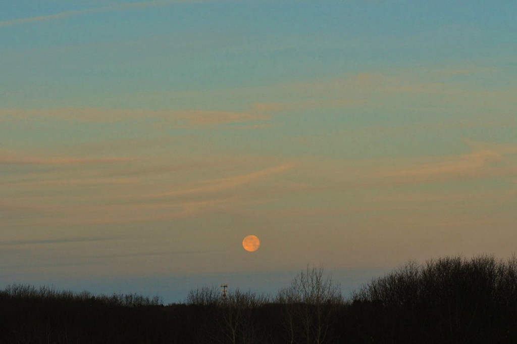 moon rise by dianen