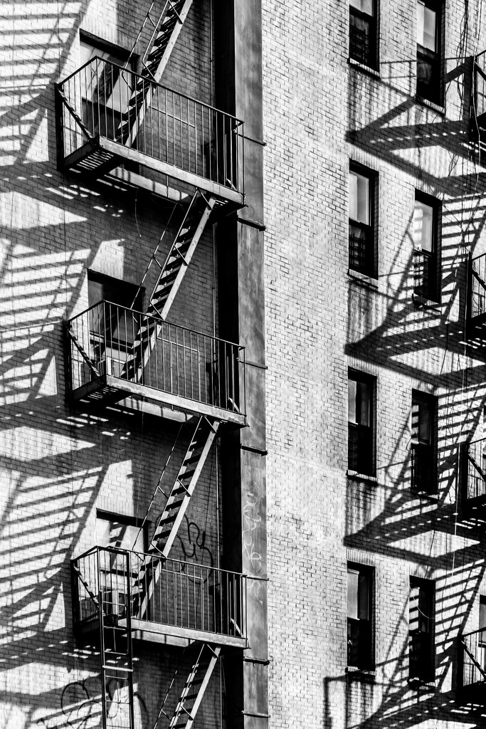 Fire Escapes, Chinatown, NYC by darylo