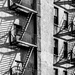 Fire Escapes, Chinatown, NYC by darylo