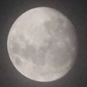 11th Jan 2017 - Our beautiful moon