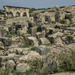 371 - Roman ruins at Voubilis by bob65