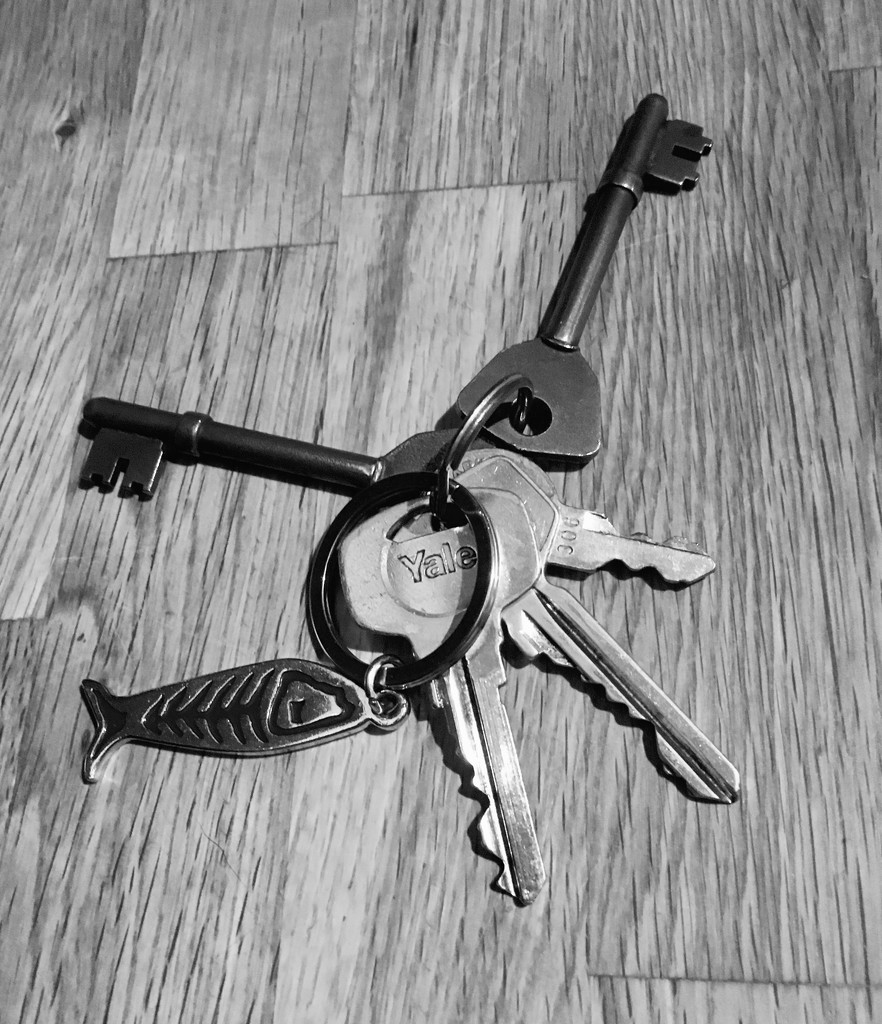 Found keys.  by 365projectdrewpdavies