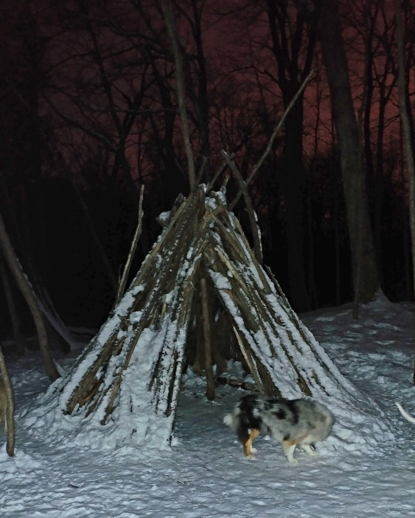 Tipi structure in the moonlight woods.  by hellie