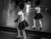 10th Jan 2017 - Tiny Dancer