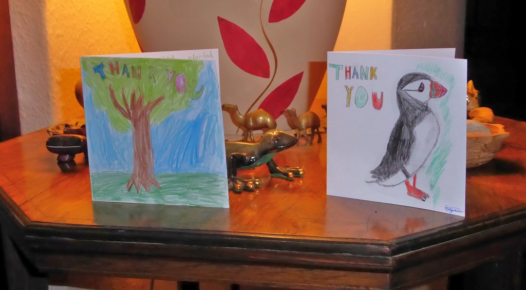 Thank You Cards from Emily and Oscar by susiemc