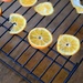 orange slices... by earthbeone