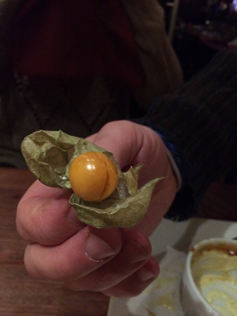 Cape Gooseberry by selkie