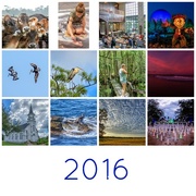 11th Jan 2017 - 2016 collage
