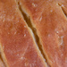 Crust of Bread by houser934