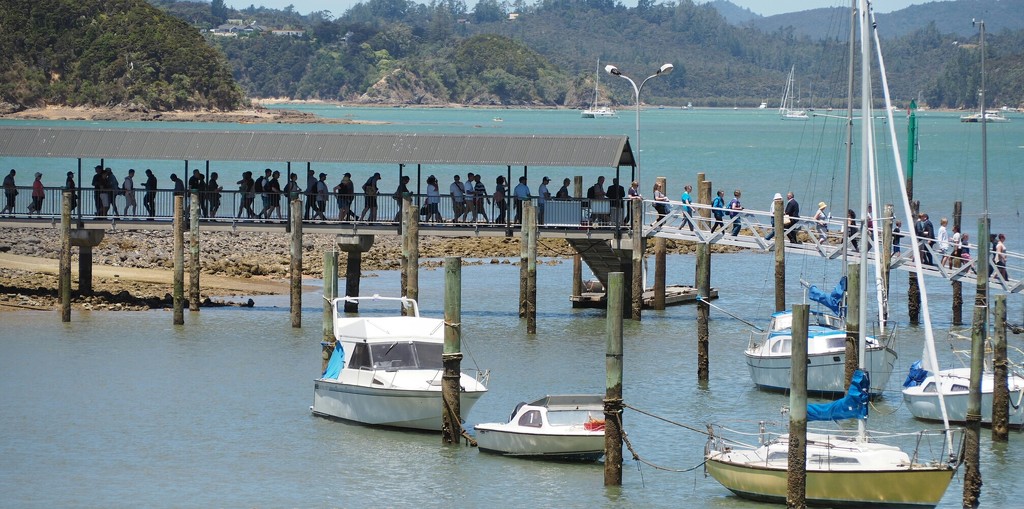 Passengers waiting to return others just getting too the jetty at Waitangi by Dawn