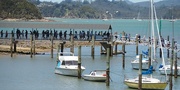 12th Jan 2017 - Passengers waiting to return others just getting too the jetty at Waitangi
