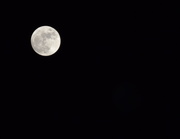 11th Jan 2017 - Tonight's Moon