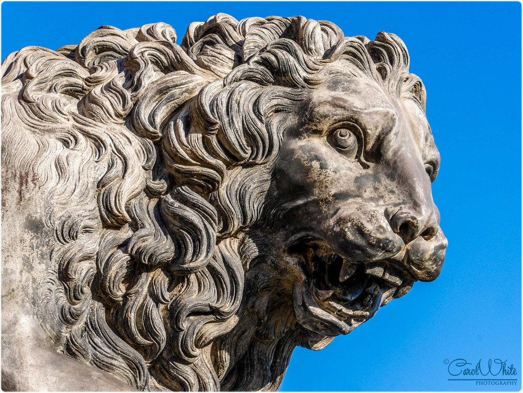 Lion's Head (from statue at Stowe House entrance) by carolmw