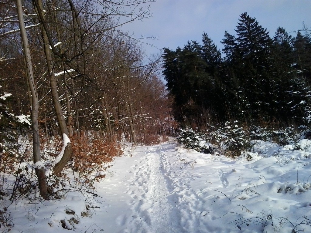 Snowy path by ivm