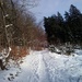 Snowy path by ivm