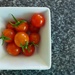 Tomato harvest by leggzy