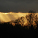 Winter light burst by helenhall