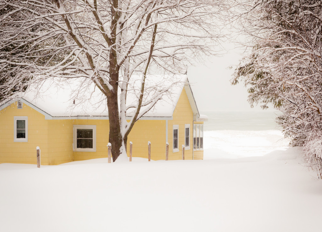 the yellow cottage by tracymeurs