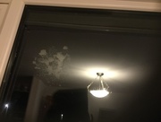12th Jan 2017 - Snowball on window