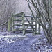 Snowy gate by redandwhite