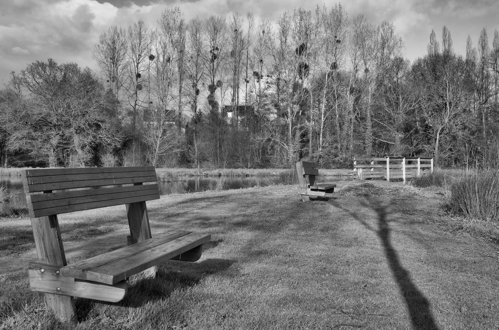 Two Benches, a Bridge, and a stand of Poplars... by vignouse