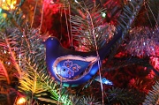 20th Dec 2010 - The Bluebird of Happiness