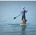 Paddle Boarding Pooch... by julzmaioro