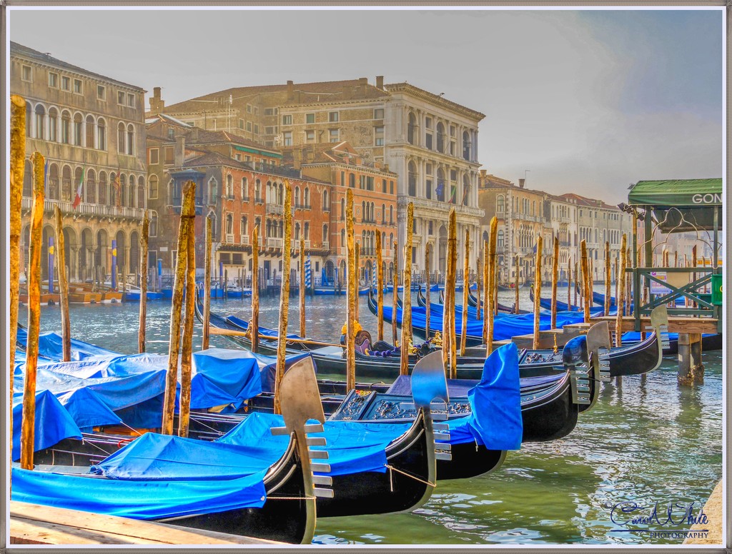 Gondolas On The Grand Canal, Venice by carolmw