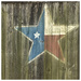 Texas by wilkinscd