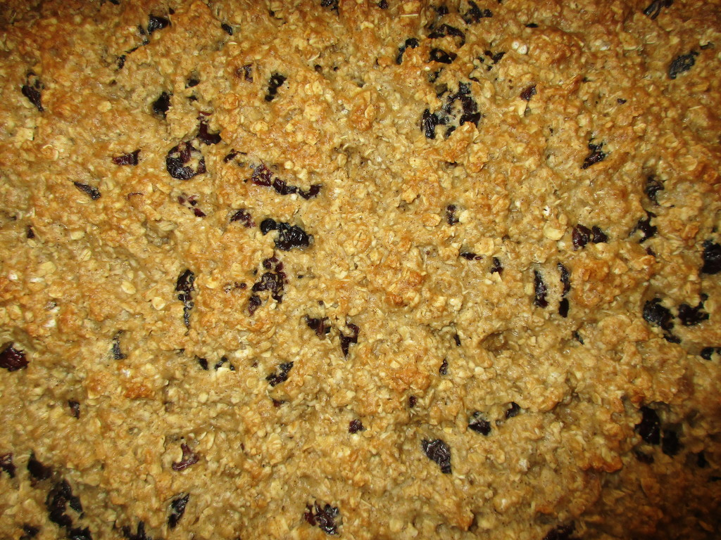Cranberry-Oatmeal Bars by tunia