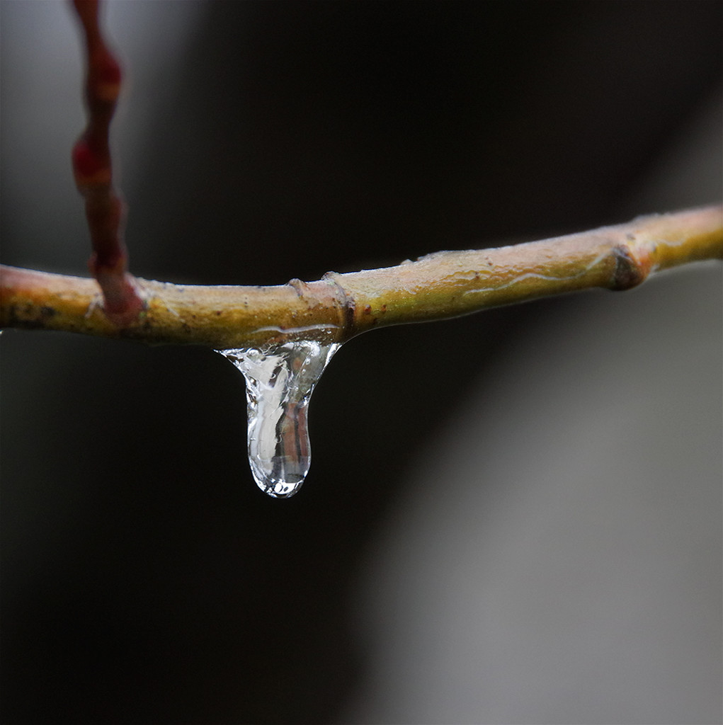 Ice Droplet by houser934